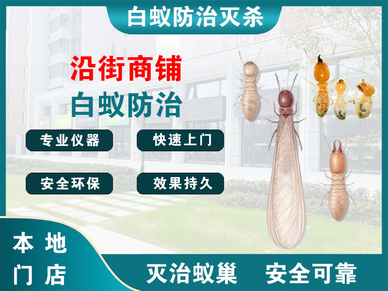 金山区沿街商铺白蚁防治