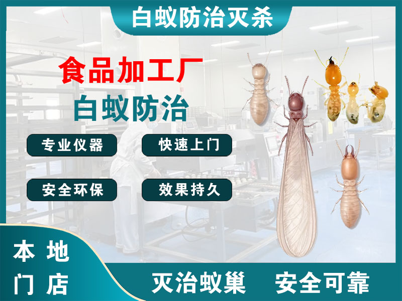 金山区食品加工厂白蚁防治