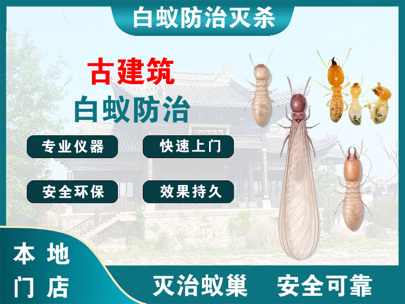 金山区古建筑白蚁防治